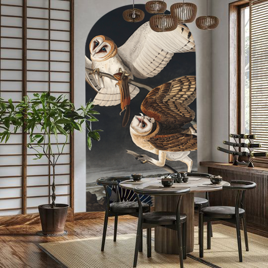 Stickers Arco Lechuzas