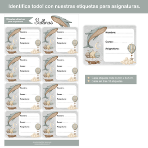 Etiqueta ASIGNATURAS