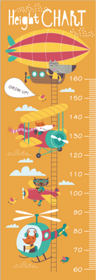 Medidor Transporte 2