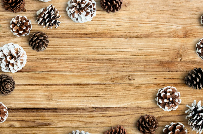 INDIVIDUALES NAVIDEÑOS
