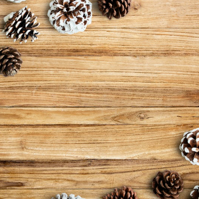 INDIVIDUALES NAVIDEÑOS