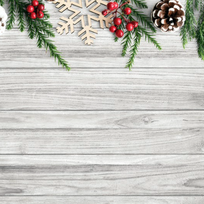 INDIVIDUALES NAVIDEÑOS