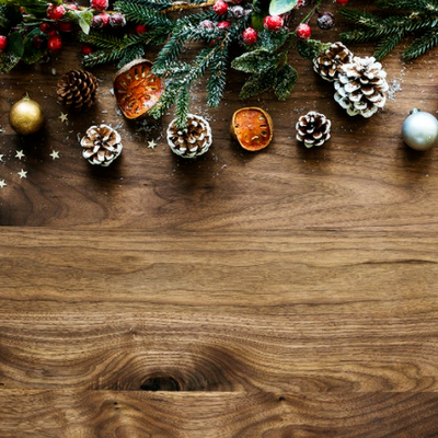 INDIVIDUALES NAVIDEÑOS