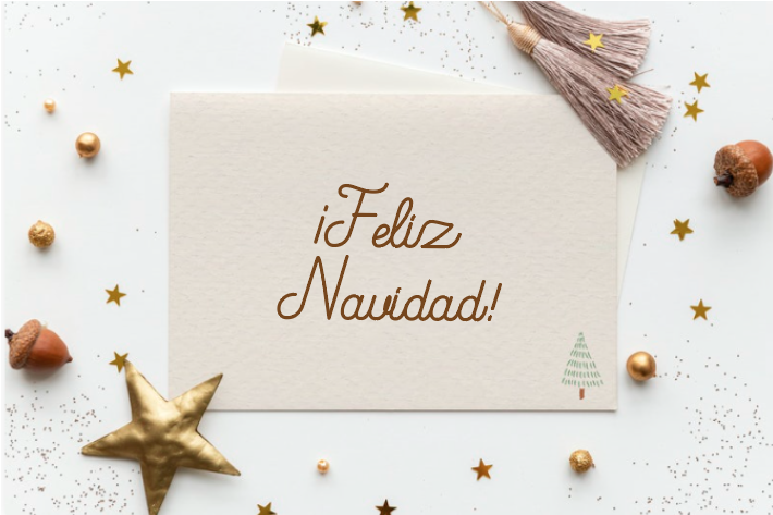 INDIVIDUALES NAVIDEÑOS