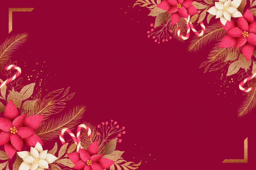 INDIVIDUALES NAVIDEÑOS