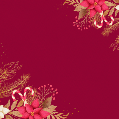 INDIVIDUALES NAVIDEÑOS