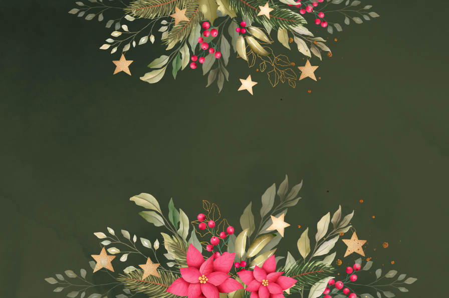 INDIVIDUALES NAVIDEÑOS