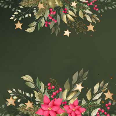 INDIVIDUALES NAVIDEÑOS