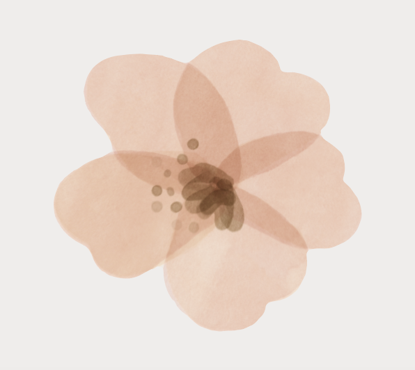 Set Stickers Flores Silvestres