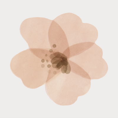 Set Stickers Flores Silvestres