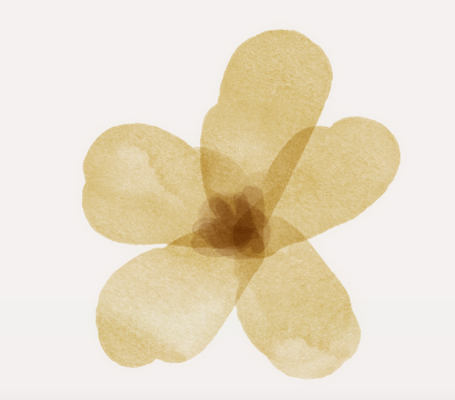 Set Stickers Flores Silvestres Amarillas