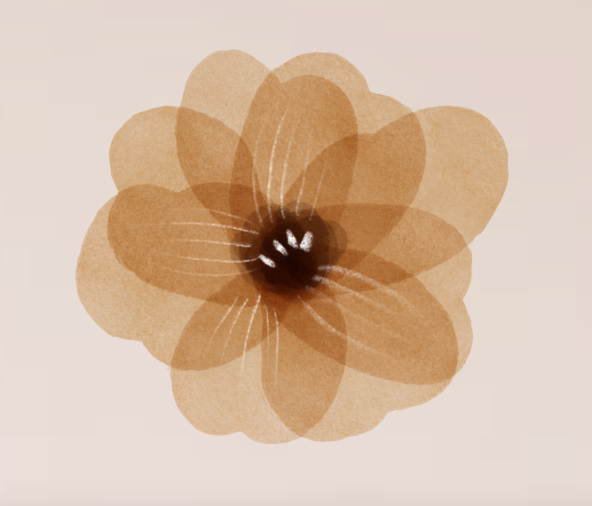 Set de Stickers Flores Dakota