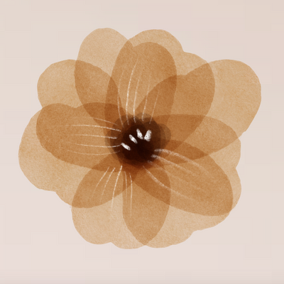 Set de Stickers Flores Dakota