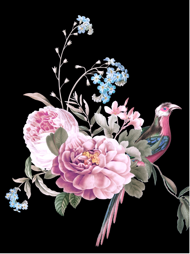 Lámina Decorativa Eden