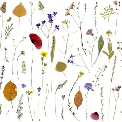 Papel Adhesivo  D013 (Decovinil)