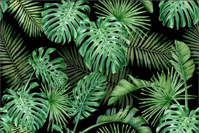 Papel Adhesivo  D144 (Decovinil)