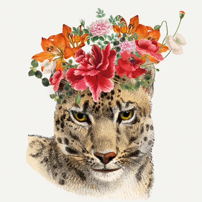 Lámina Decorativa Miss Cheetah